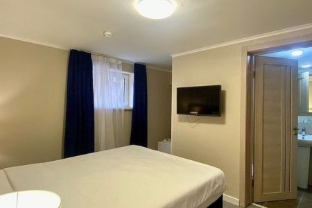 Стандартный 1-местный