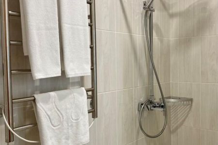 Стандартный 2-местный (TWIN, главный корпус, 1 этаж)